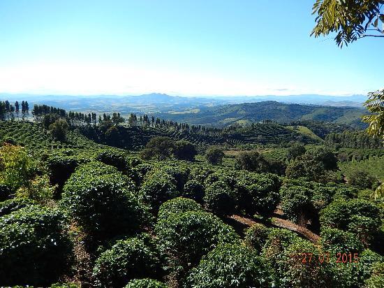 Rota do Café Especial