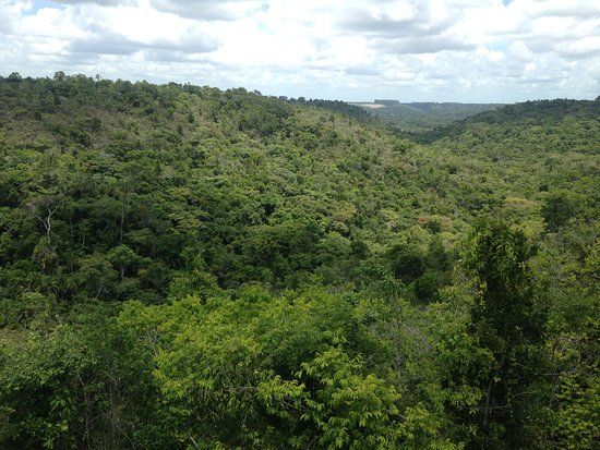 Parque Nacional do Pau Brasil