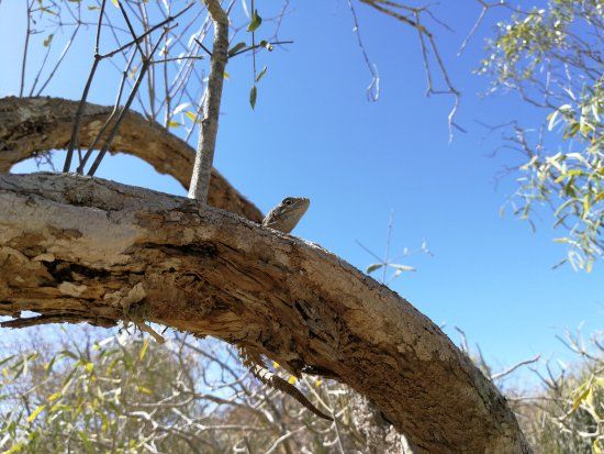 Arboretum d'Antsokay