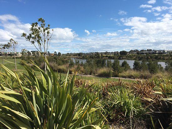 Cascade on Clyde Wetlands