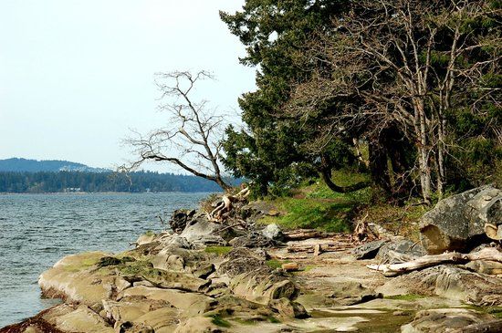 Jack Point and Biggs Park