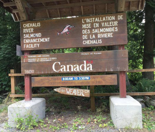 Chehalis River Salmon and Trout Enhancement Facility