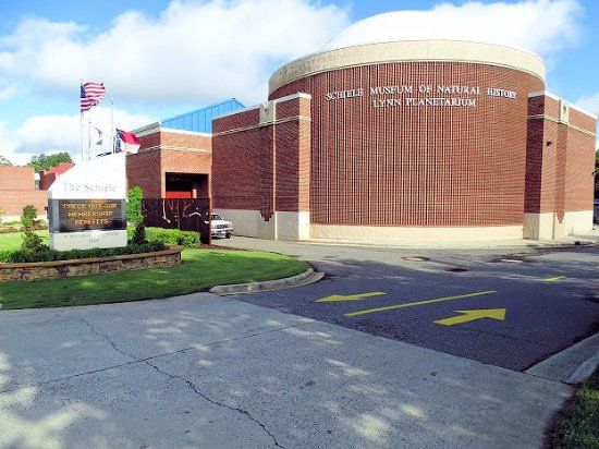 Naturkundemuseum Schiele