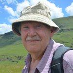 Golden Dragon Chinese Foods