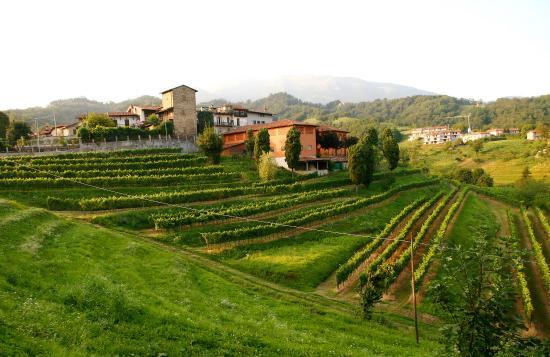 Ristorante deIl'Agriturismo Belvedere