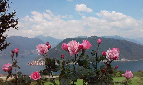 Agriturismo A Clusino