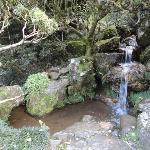 Sorveteria Bona Fruta