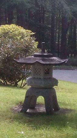 Restaurant Monte Rosa