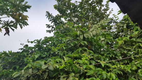 Confeitaria E Restaurante Barao