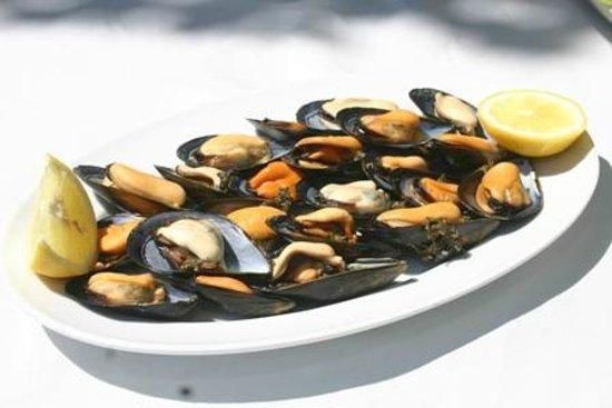 El Cafe de la Concordia