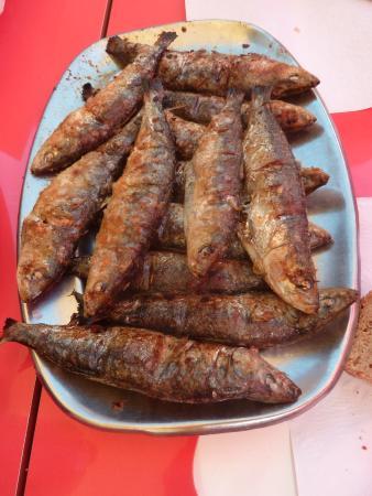 Rei Da Sardinha