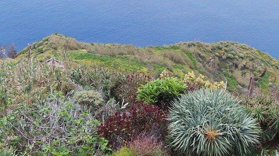 Costa Verde Restaurant