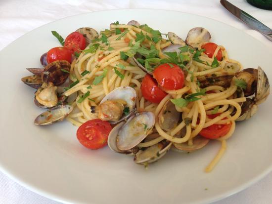 Monroe for Yachting Club