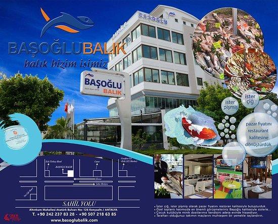 Başoğlu balık