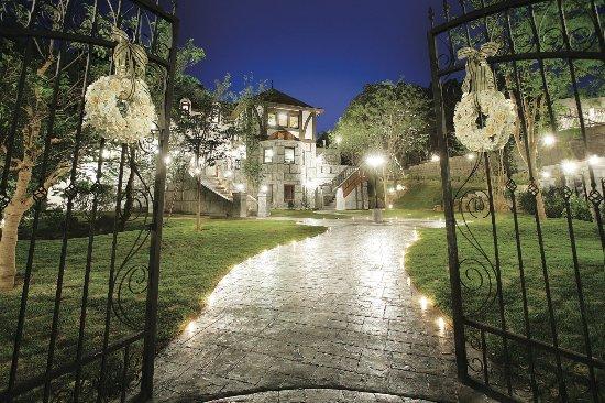 Mori no Teitaku Anon