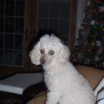 Andreas Sporting Club