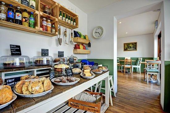 Roots & Shoots Garden Centre