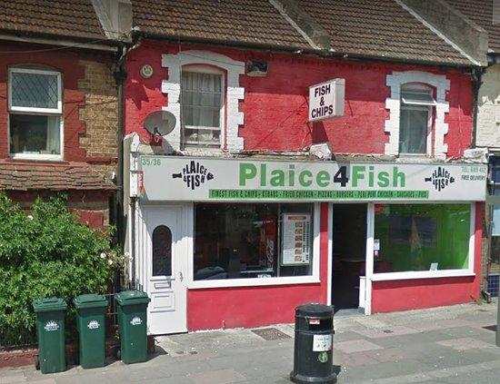 Plaice 4 Fish