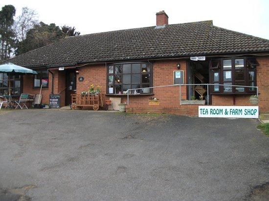 The Paddocks Tearoom