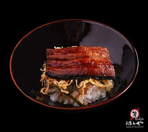 Hashiya Japanese Restaurant