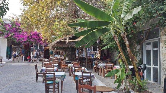 Platanos Restaurant and Bar