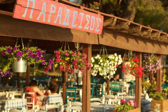 Paradisos Greek Cuisine