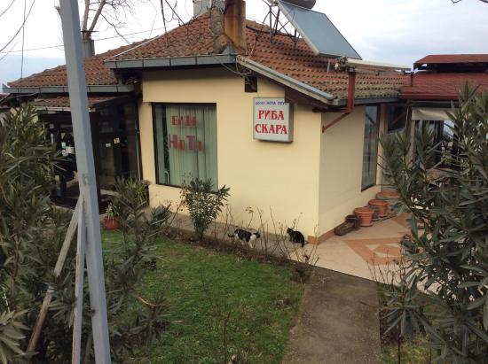 Fish Restaurant Nota