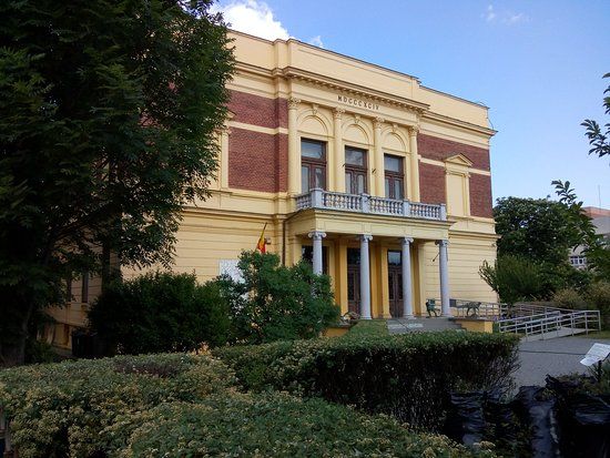 Natural History Museum