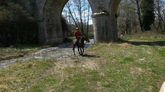 Azienda Agrituristica Grotta dell'Eremita