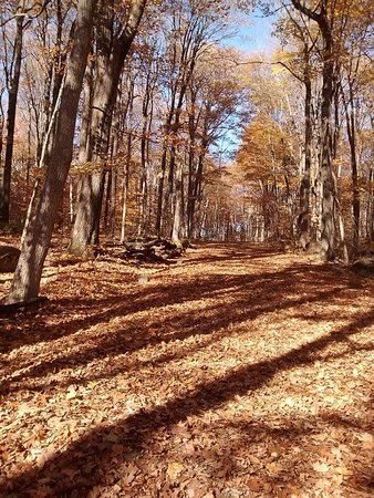 Colline du Calvaire d'Oka