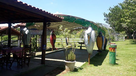 Fazendinha Vo Braulio