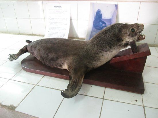 Musée océanographique Rabesandratana