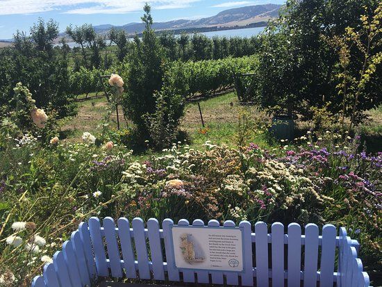 The Peter Rabbit Garden