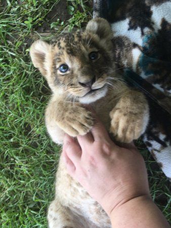 Clarington Family Outdoor Adventure Park