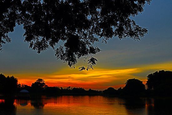 Cyberjaya Lake Gardens