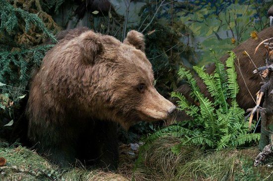 Regional Local Lore and History Museum