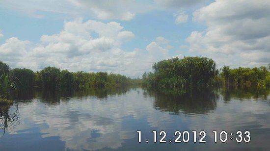 Sebangau National Park Central Kalimantan