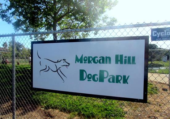 Dog Park