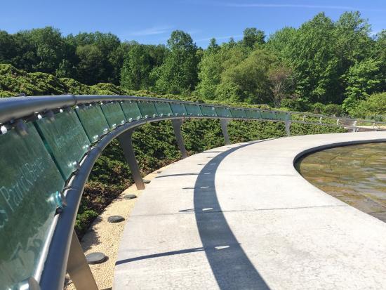 Garden of Reflection