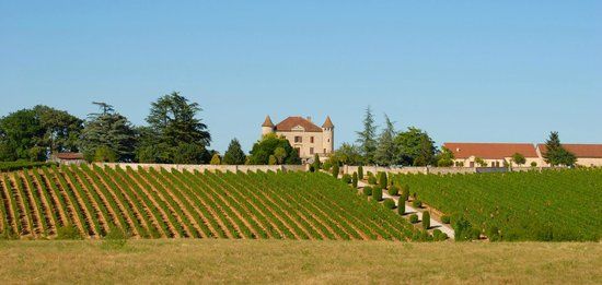Vignoble du château de Chambert