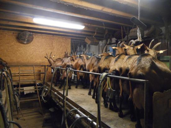 La Ferme de Vigne Haute