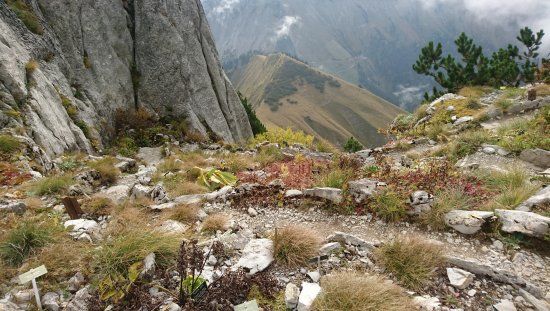 Alpengarten La Rambertia