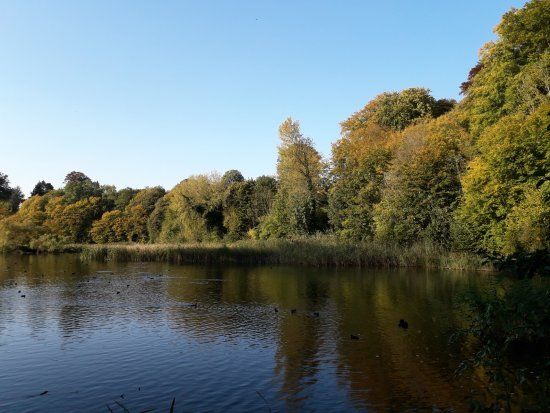 Centre d'art du Rouge-Cloître