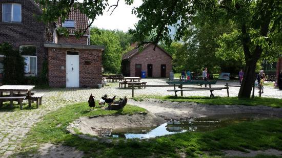 Kinderboerderij De Specht