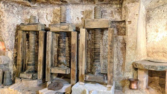 MOOM Matera Olive Oil Museum