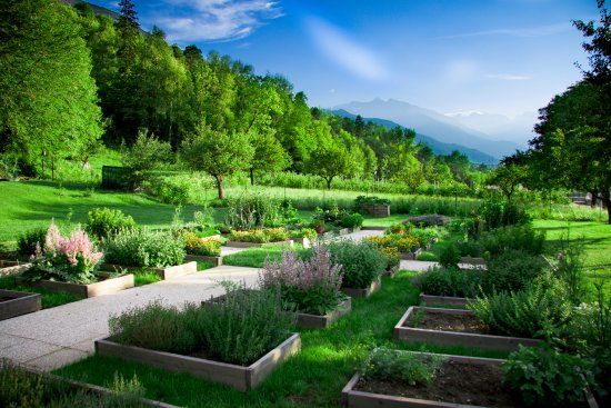 Maison des Anciens Remedes