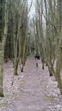Fosse Meadows Nature Area