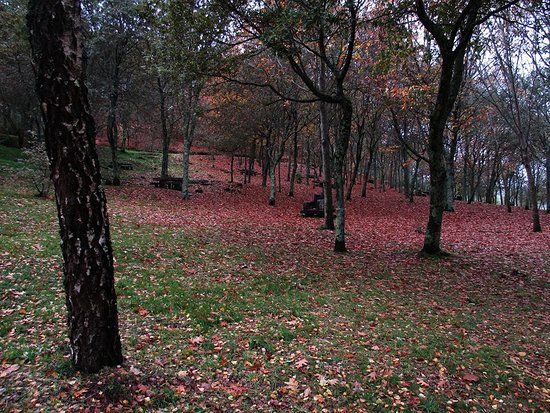 Parque Forestal Monte dos Pozos