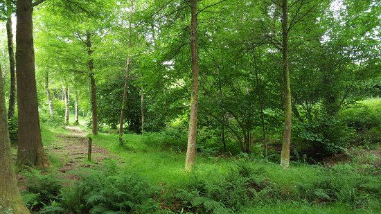 Parque Natural de Cotorredondo