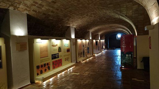 Museo del Vino